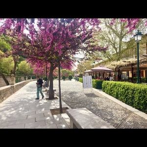 Meet your Posher, Margaret